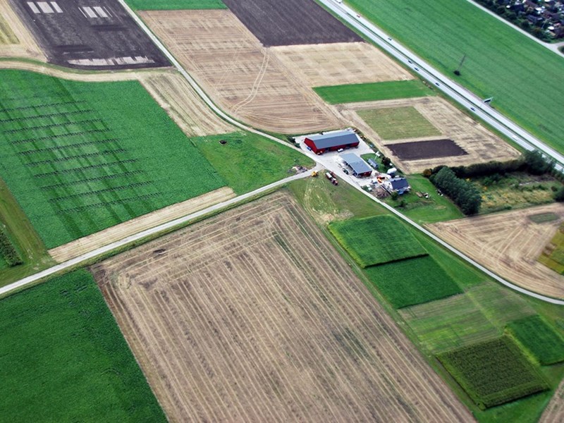 Green fields from above