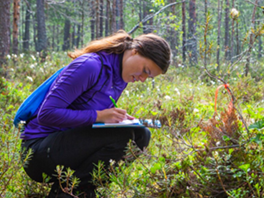 The picture shows a student in the forest, squatting and taking notes on a paper.