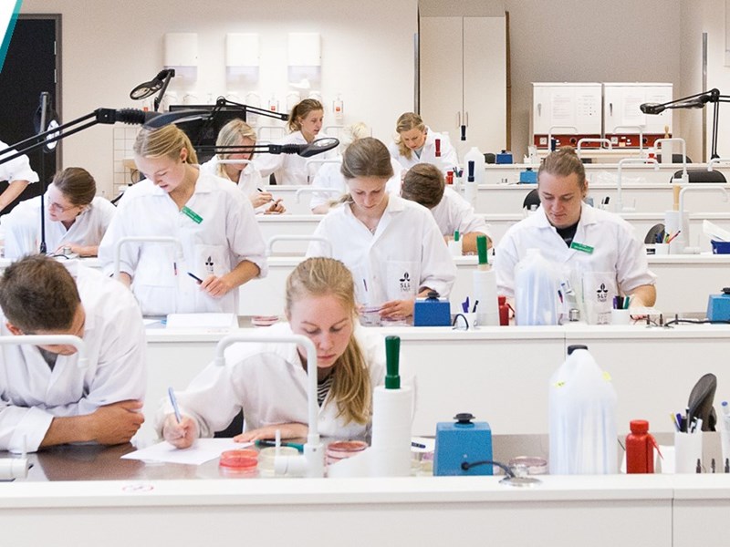 Students in a lab