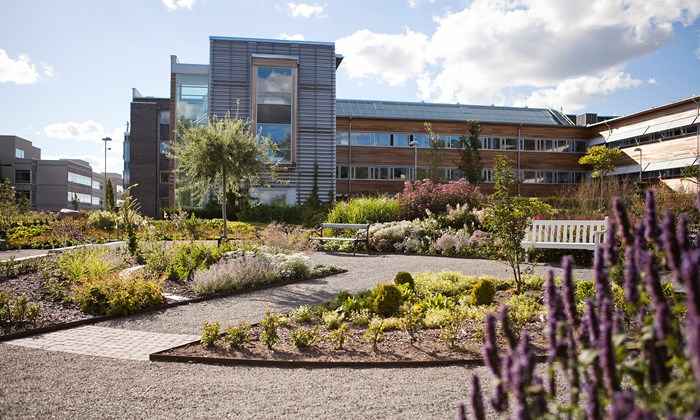 Park med bänk framför hus. Foto