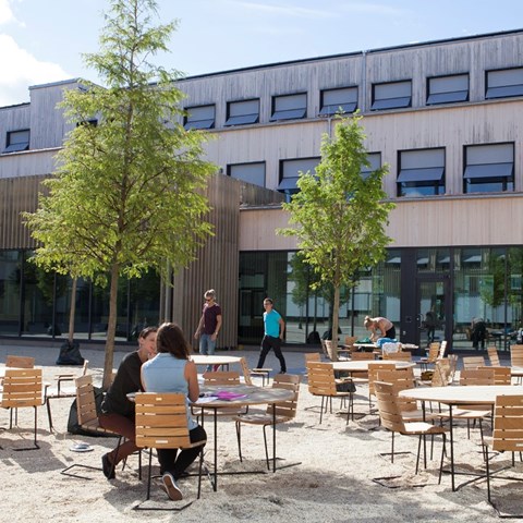 Students sitting outdoors studying, photo.