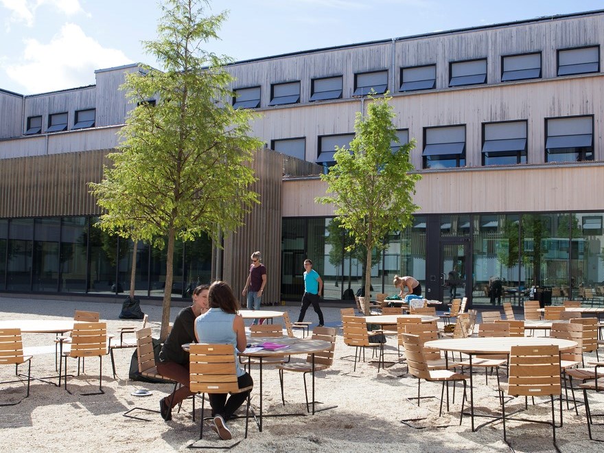 Students sitting outdoors studying, photo.