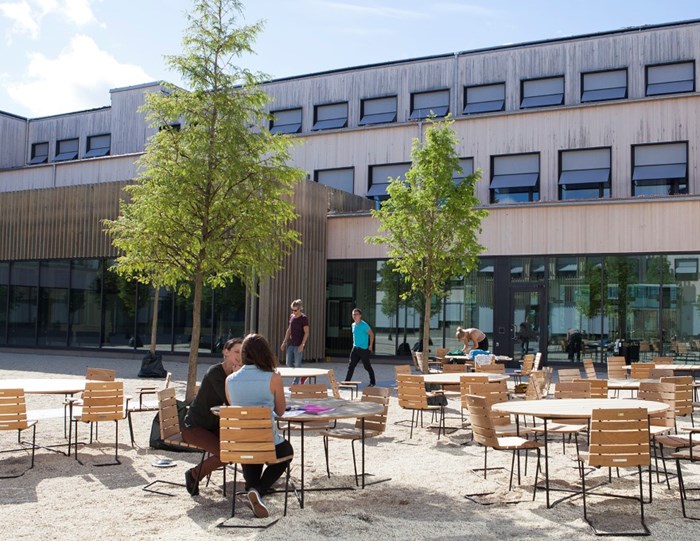 Studenter sitter utomhus och pluggar, foto.