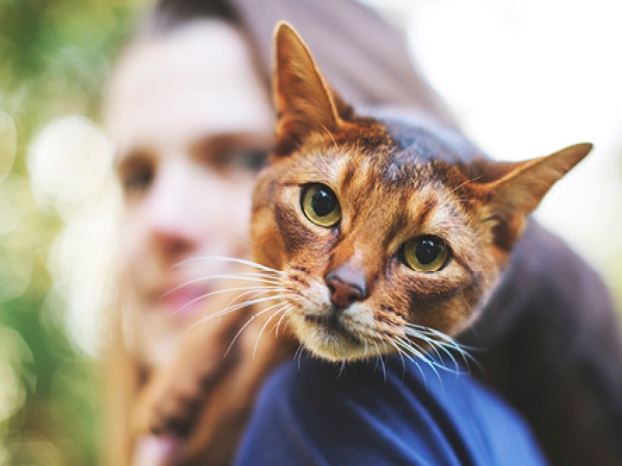 Bild av en kvinna med en katt sittande på axeln. 