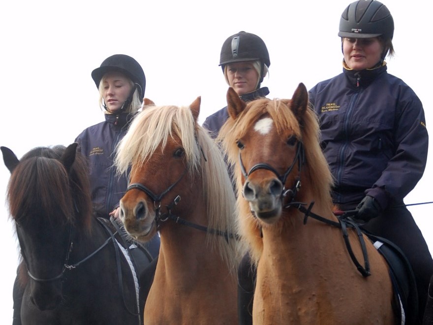 Tre studenter på ridhästar, foto.