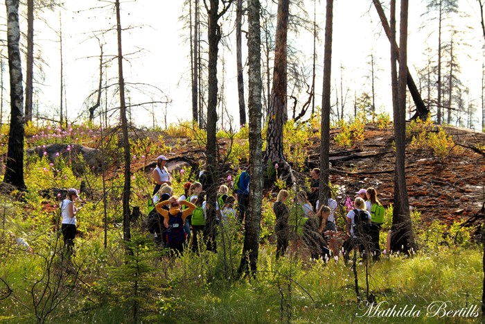 Foto: Mathilda Bertils 