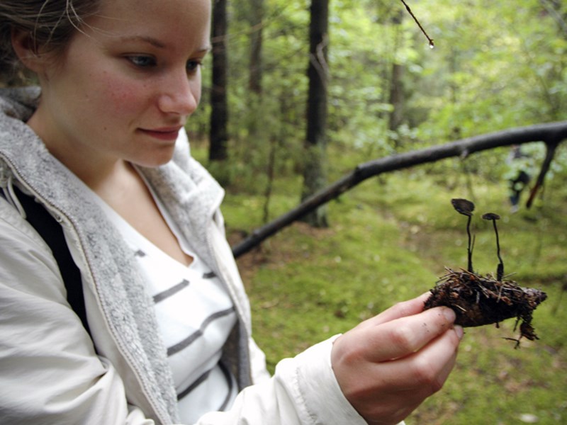 Tjej som håller upp och studerar en svamp som hon plockat i skogen. Foto.