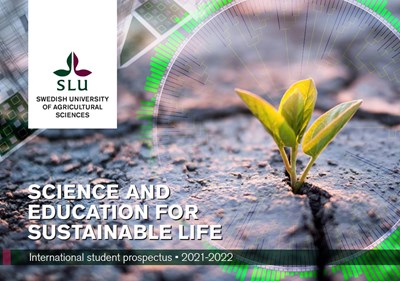 Swedish University Of Agricultural Sciences Externwebben