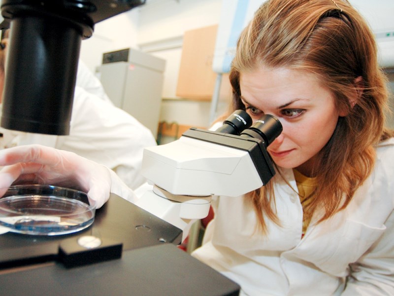 Scientist and microscope. photo