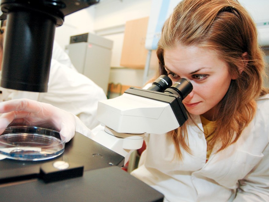 Scientist and microscope. photo
