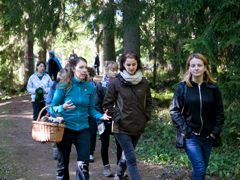studenter går i skogen. foto