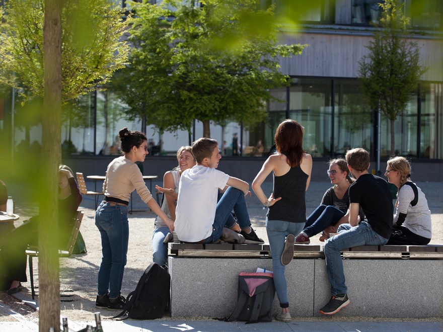 Studenter sitter i solen, foto.