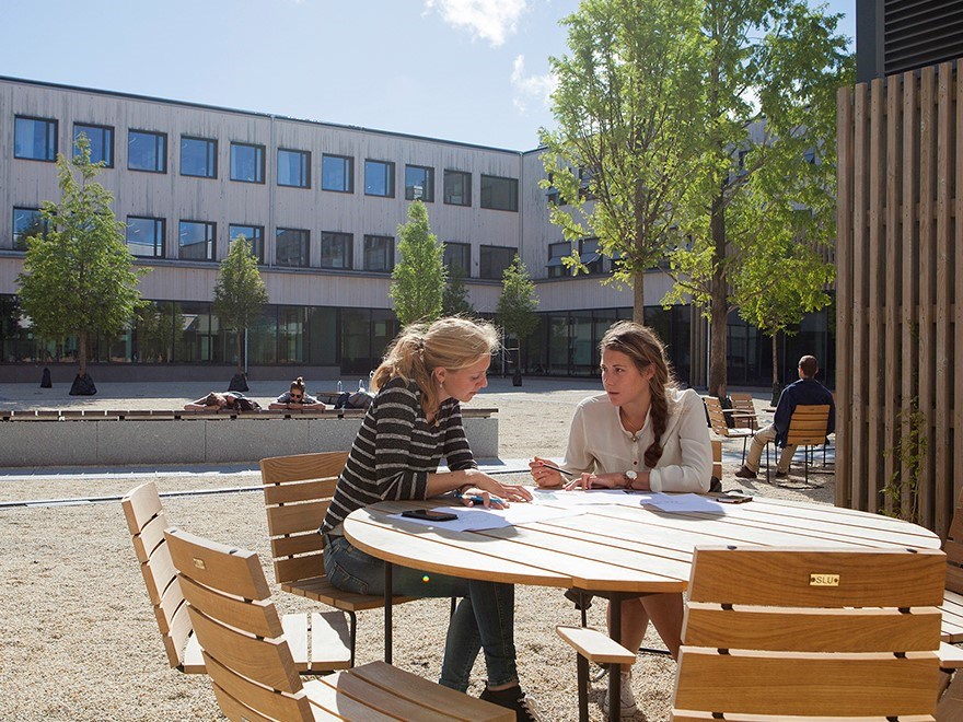 Studenter som sitter utomhus i solen