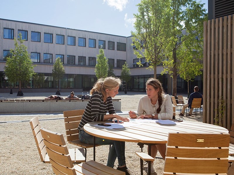 Students sitting outside in the sunshine
