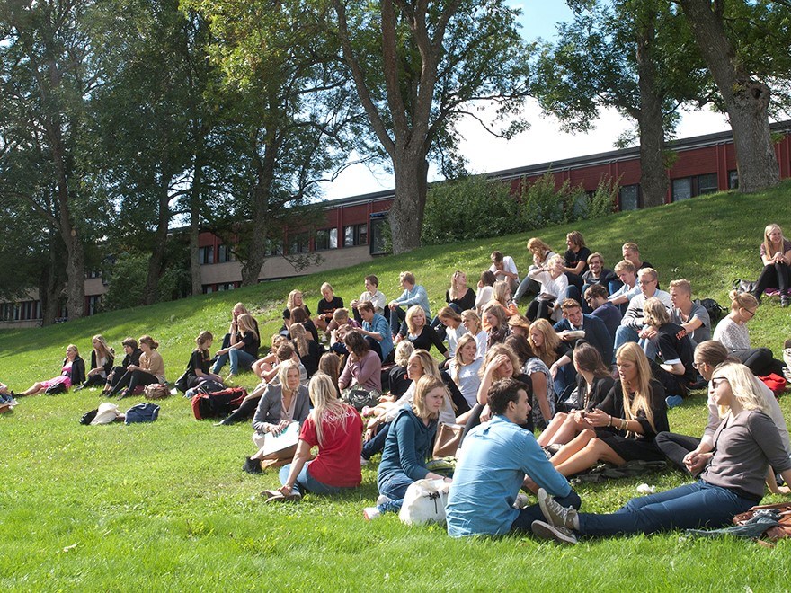 Studenter på sommaren