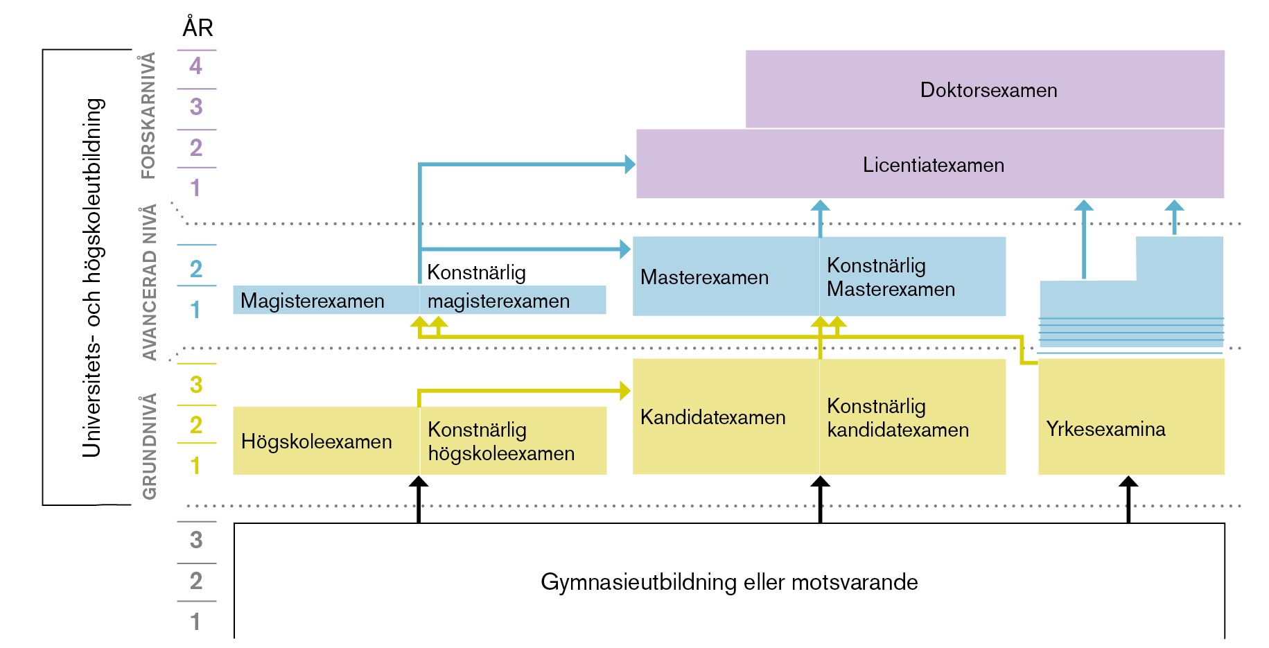 Bild över utbildningsnivåer på universitet