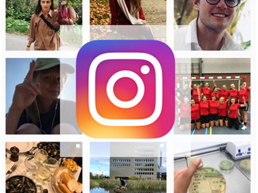 Ett kollage av Instagrambilder.