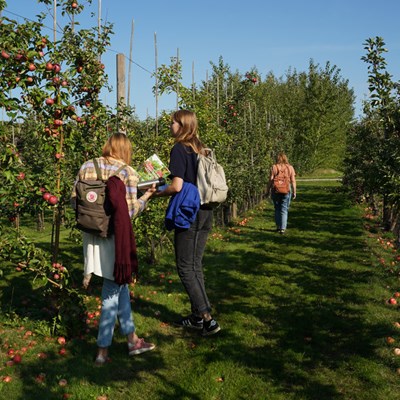 Trädgårdsingenjör-studenter läser kursen växtskydd och letar efter skadeangrepp i Trädgårdslaboratoriet, Alnarp.