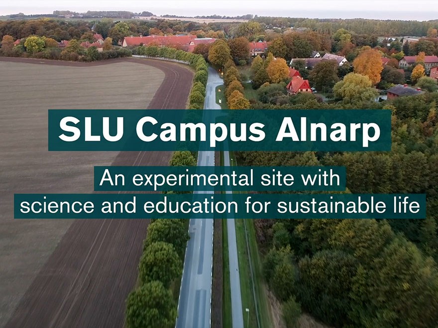 SLU Campus Alnarp - an experimental site with science and education for sustainable life