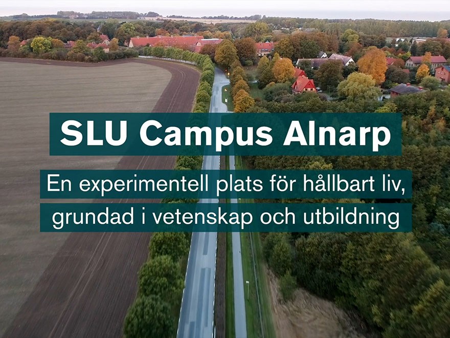 SLU Campus Alnarp - en experimentell plats för hållbart liv, grundad i vetenskap och utbildning