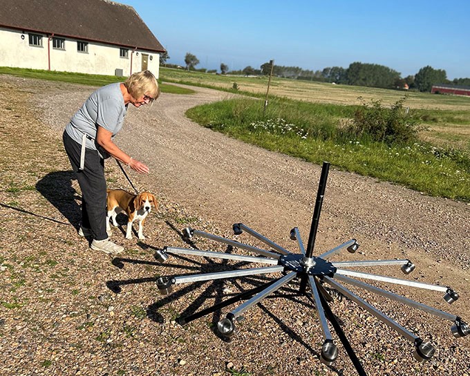 En hund och dess hundförare på väg mot en tolvarmad karusell med doftprover