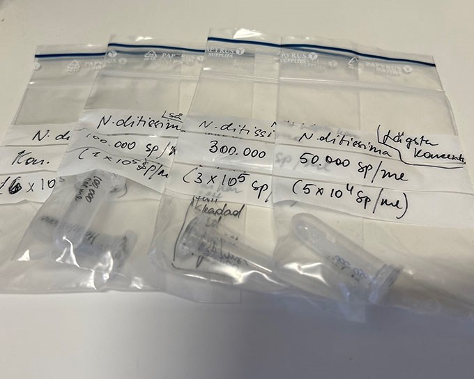 Bags with test tubes containing spores