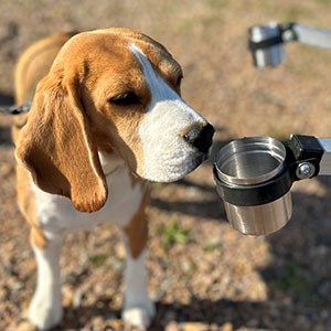 A dog is sniffing on a cup containing a sample from fruit tree canker