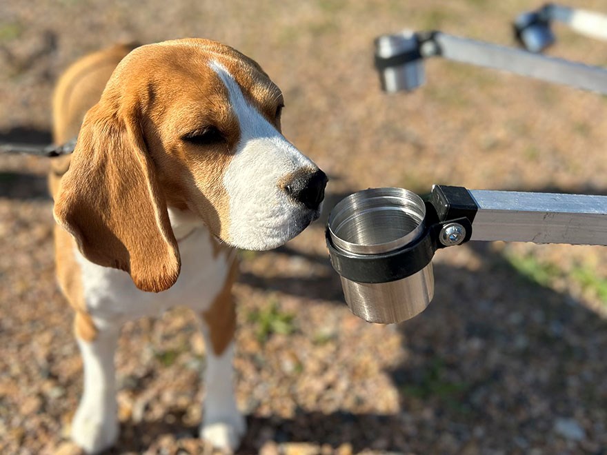 A dog is sniffing on a sample of fruit tree canker