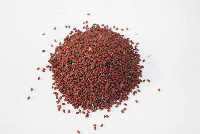 Field cress seeds of a reddish color. Photo: Cecilia Hammenhag