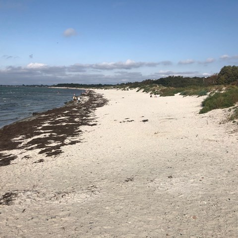 beach