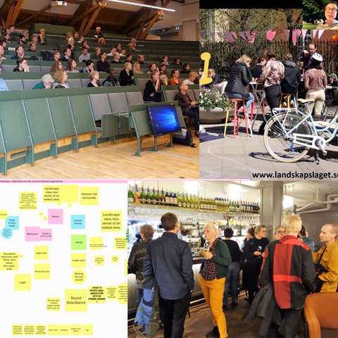 Collage från tidigare Landskapsdagar