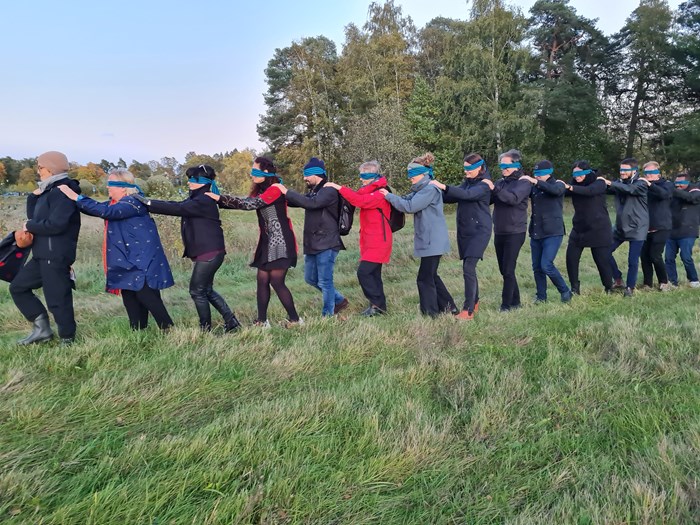 Walk for the senses