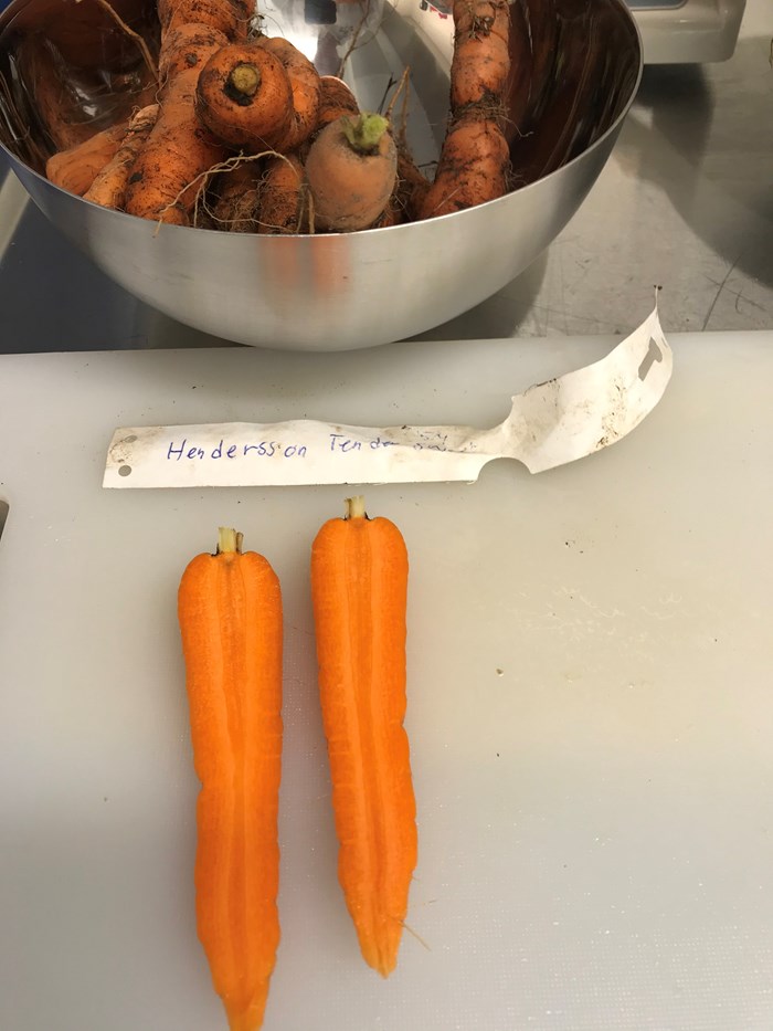 Orange.