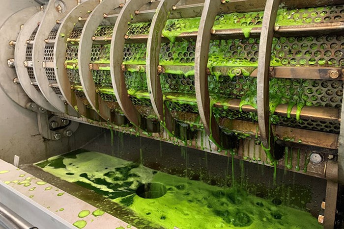 Skruvpress fördelar gröna växtdelar och grön juice kommer ut
