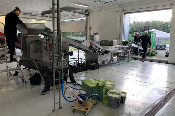 Arbete i Proteinfabriken. En person med hörsekåpor kontrollerar maskinen och två andra fyller på med mer gröndelar.