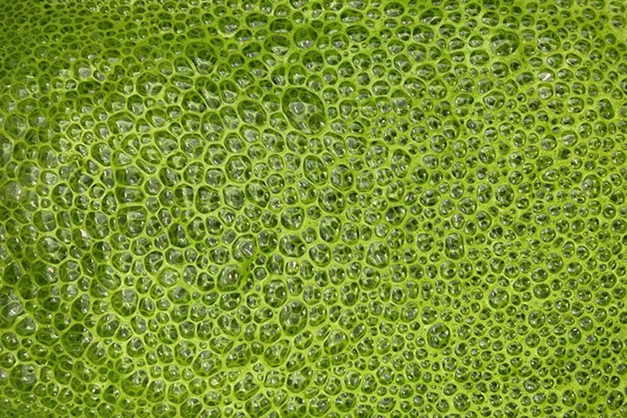 Grön juice producerad i Proteinfabriken