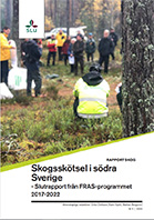 Framsida Rapport