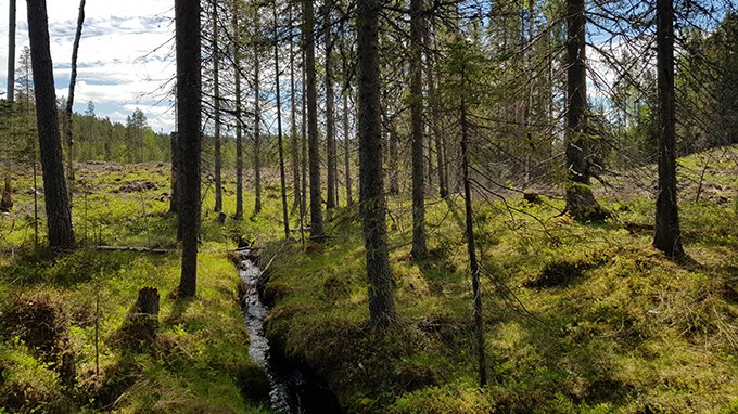 Kantzon längs vattendrag