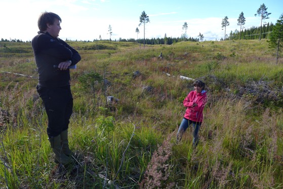 Besvärligt läge för återbeskogning