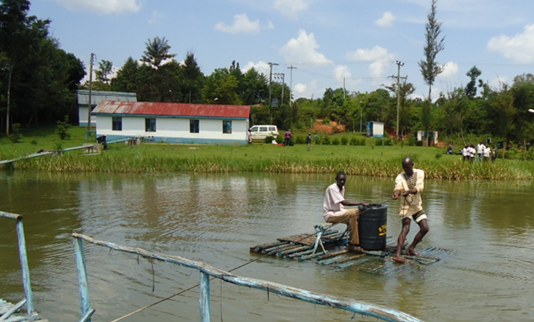 Aquaculture Lake Victoria 