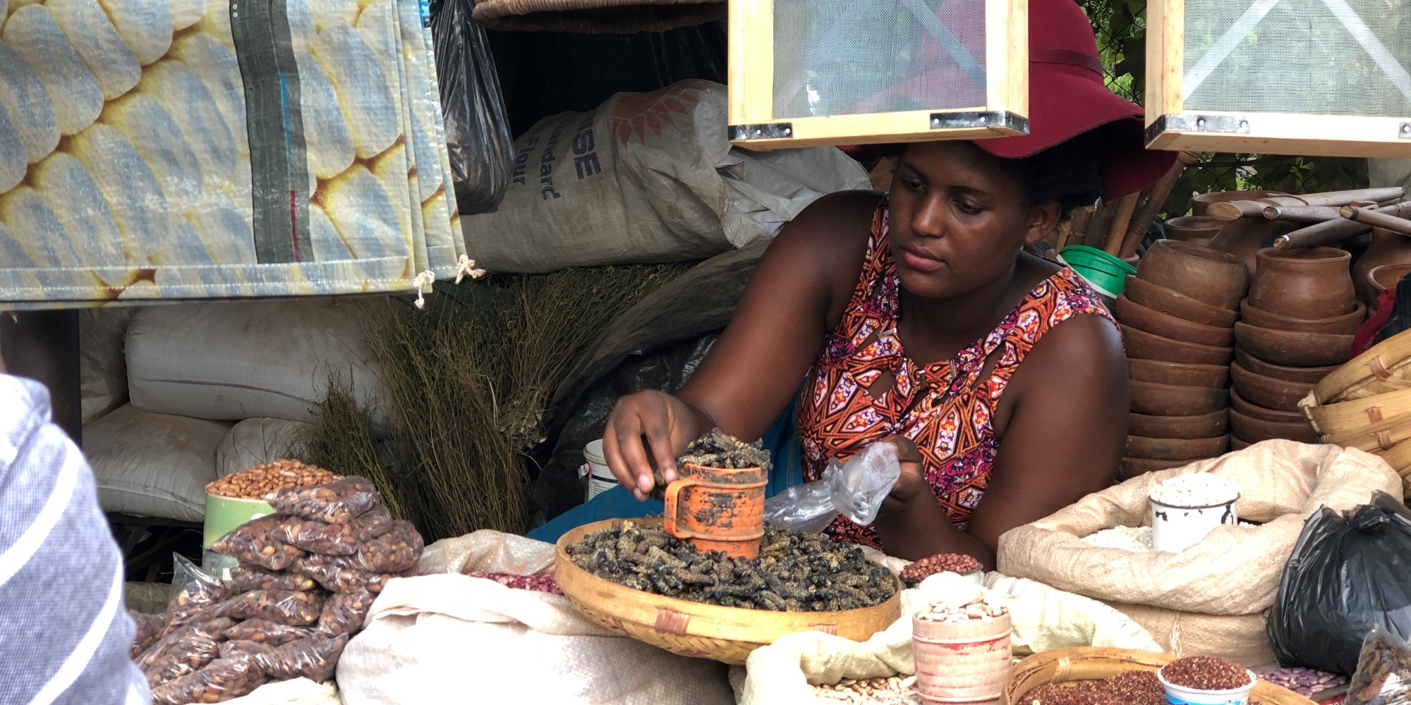 Woman at a market selling insects