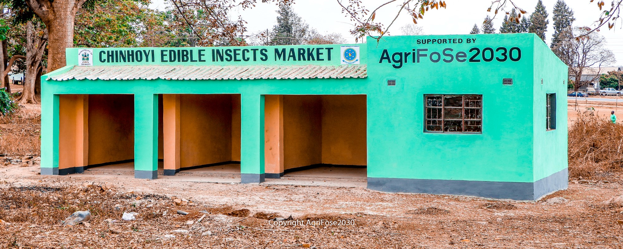 Building in light green, Africa.