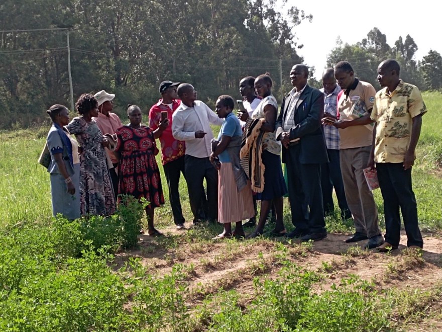 People standing together outside