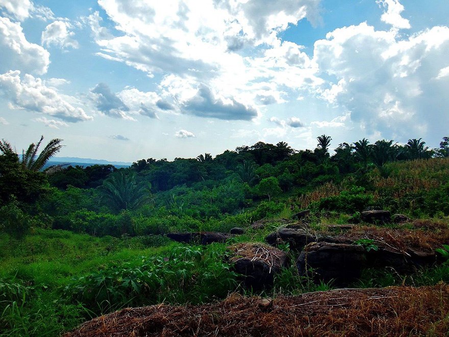 Kakaoplantage, Mvfarell, Ixcacao Mayan Chocolate, Belize, foto.