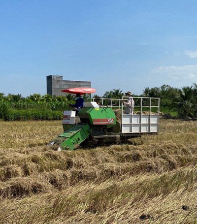 Harvesting machine in field Vietnam