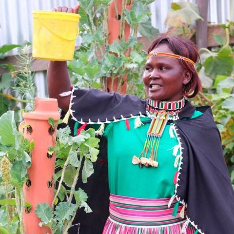 Woman watering plants