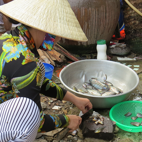 Family in Vietnam preparing food
