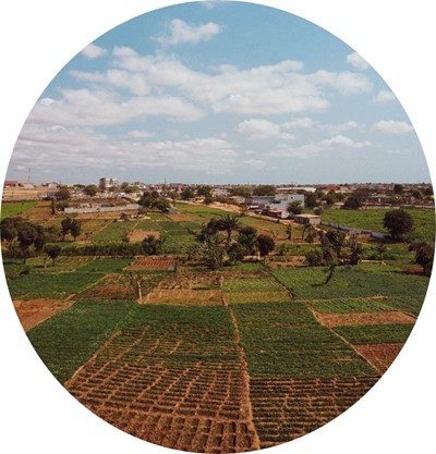 Lantbruk Afrika