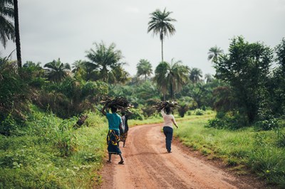 Three women carrying wood in Africa.