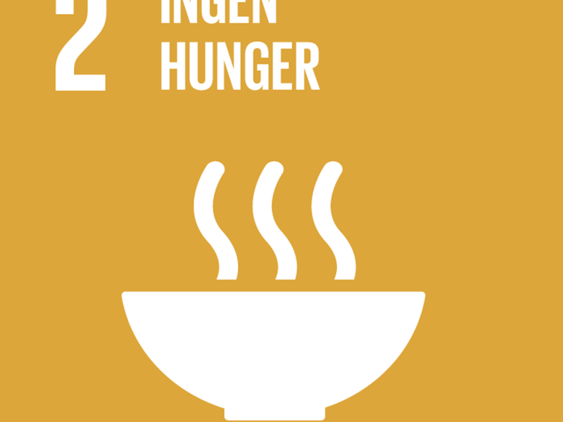 SDG 2 zero hunger, logo